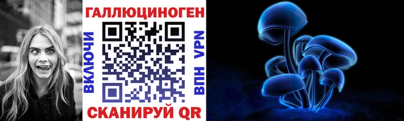 Псилоцибиновые грибы мухоморы  что такое   KRAKEN ССЫЛКА  Питкяранта 