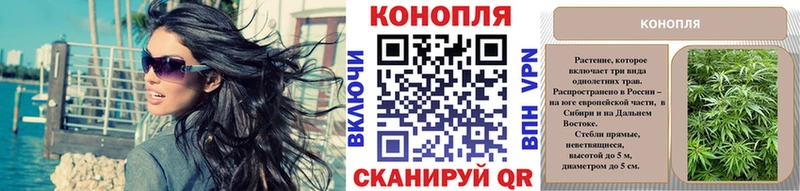 Канабис Ganja  наркота  блэк спрут как зайти  Питкяранта 